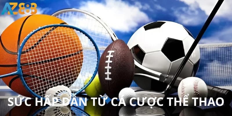 Thể thao 1 Cá cược thể thao thu hút người chơi nhờ sự kịch tính